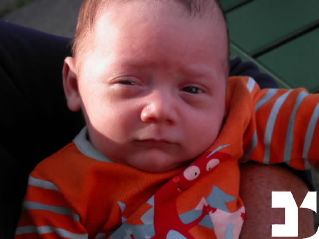 Yuki - 20090916 14.10 - 38 giorni - 704-FDM.JPG